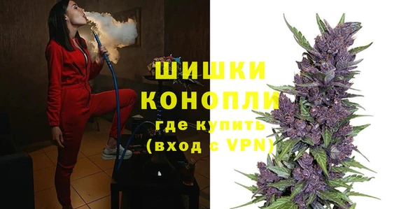 индика Киренск