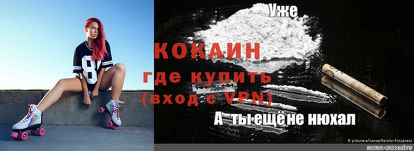 индика Киренск