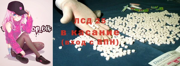индика Киренск
