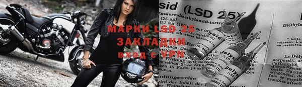 индика Киренск