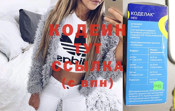 индика Киренск