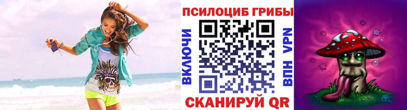 Купить закладки  Зима  Псилоцибиновые грибы Psilocybe 